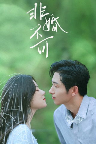 Nhất Định Phải Cưới